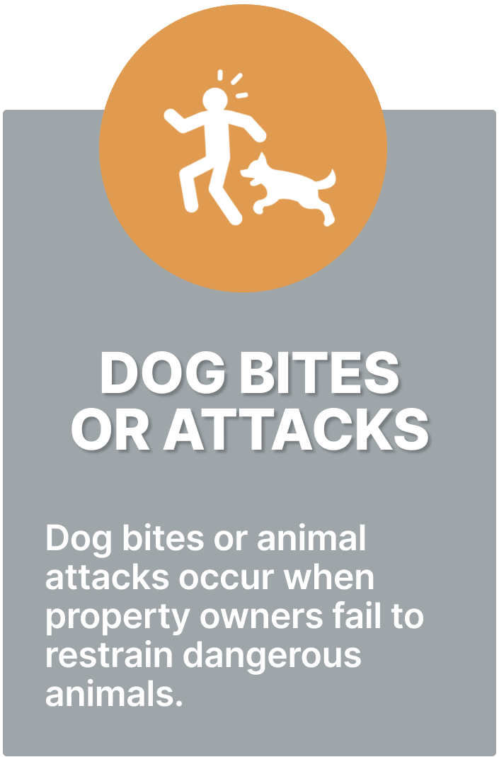 Graphic of an animal attack showing information on how property owner fail to restrain dangerous animals